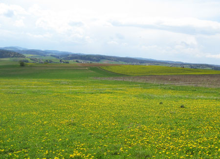 Karte mit Foto und gefttertem Umschlag