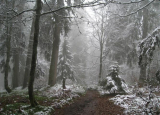 Karte mit Foto und gef�ttertem Umschlag