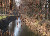 Karte mit Foto und gef�ttertem Umschlag