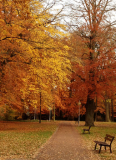 Karte mit Foto und gef�ttertem Umschlag