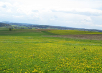 Karte mit Foto und gefttertem Umschlag