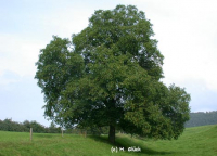 Karte mit Foto und gefttertem Umschlag