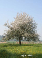 Karte mit Foto und gefttertem Umschlag